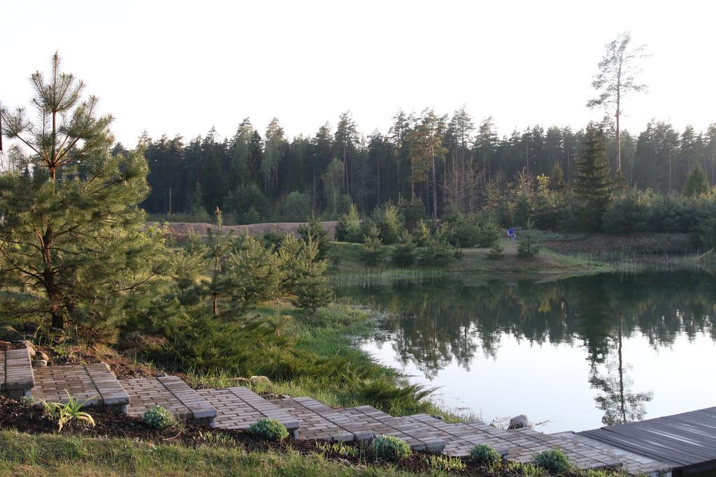 Villa Viesu Maja Forrest Dzimtmisa Exterior foto